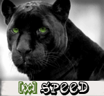 XspeeD